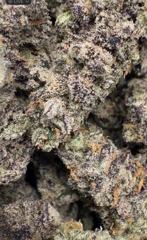 Wholesale THCA Flower | AAA+ Exotic Candy Runtz - Image 2